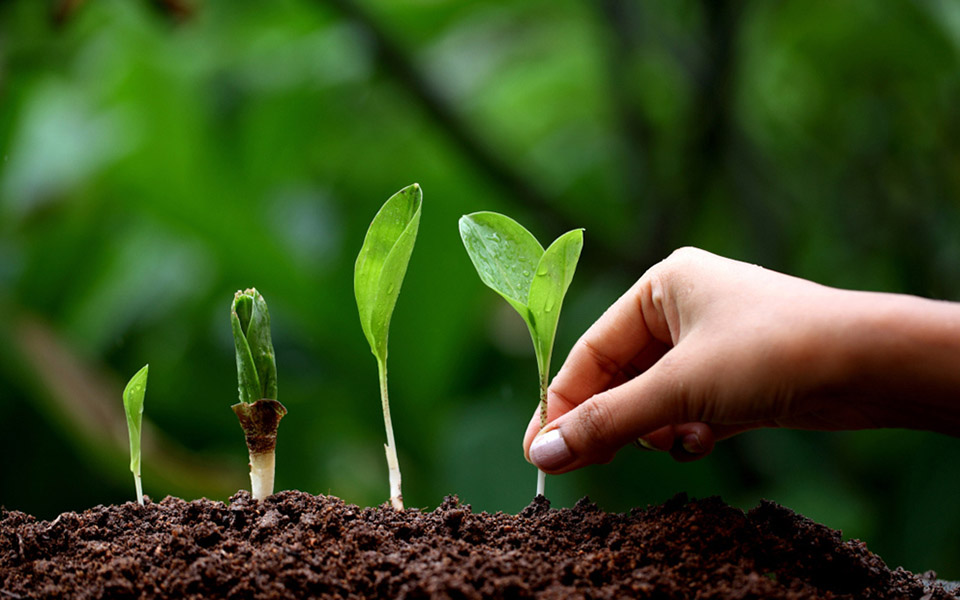 场地概念模型和数值模拟技术